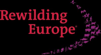 Rewilding Europe